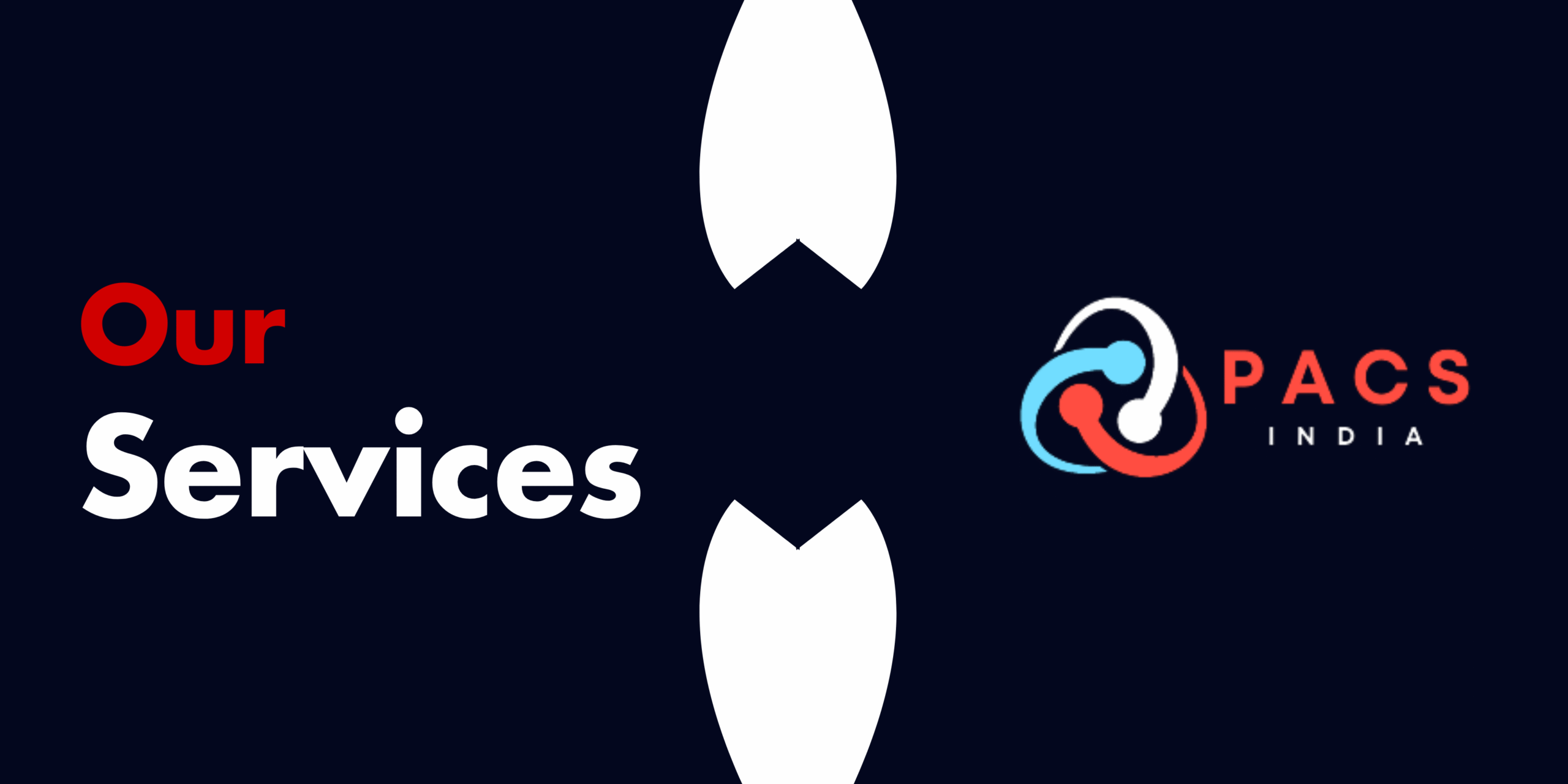 PVNarayana_PACSIndia (1)